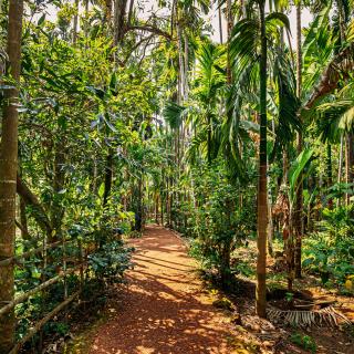 Goa Park Path